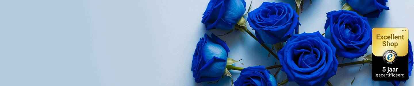 Blauwe Rozen