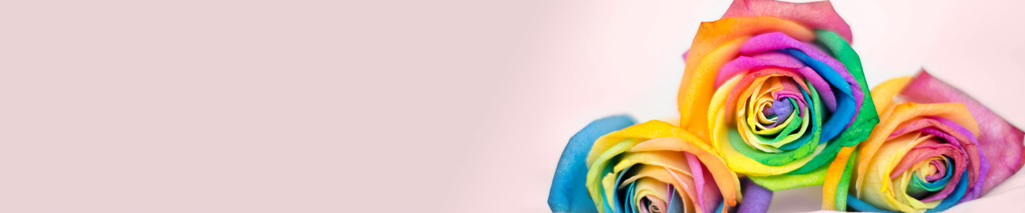 Regenboog Rozen