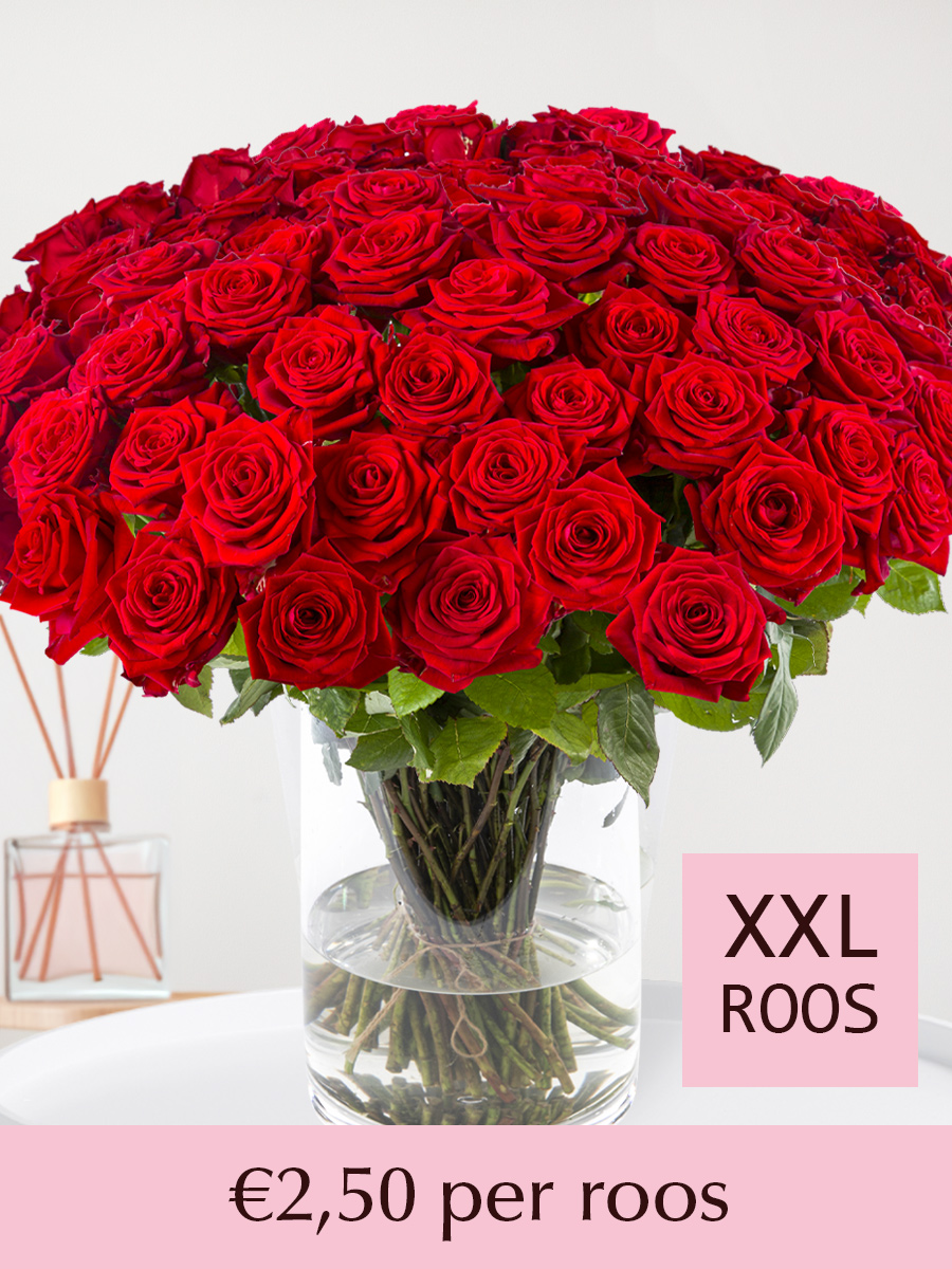 Rode rozen - XXL rozen 65 cm - 10 t/m 99 rozen - Red Naomi afbeelding 1