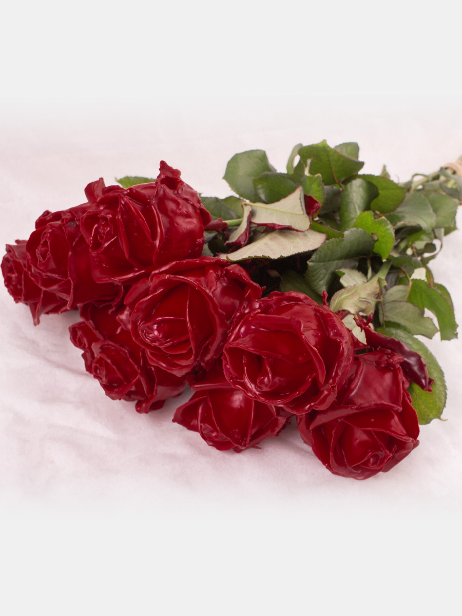 10 bordeaux rode waxrozen afbeelding