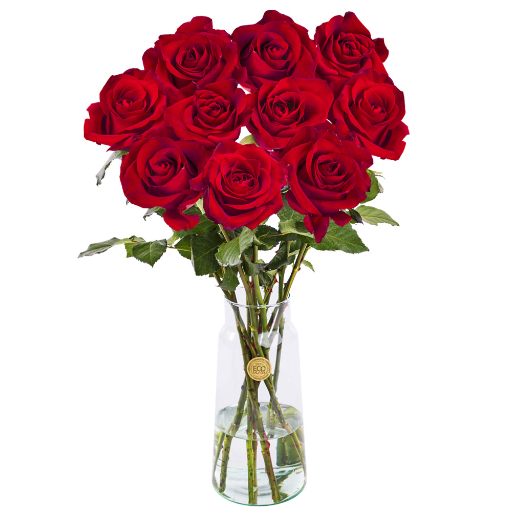 10 rode rozen - XL rozen - EverRed afbeelding 1