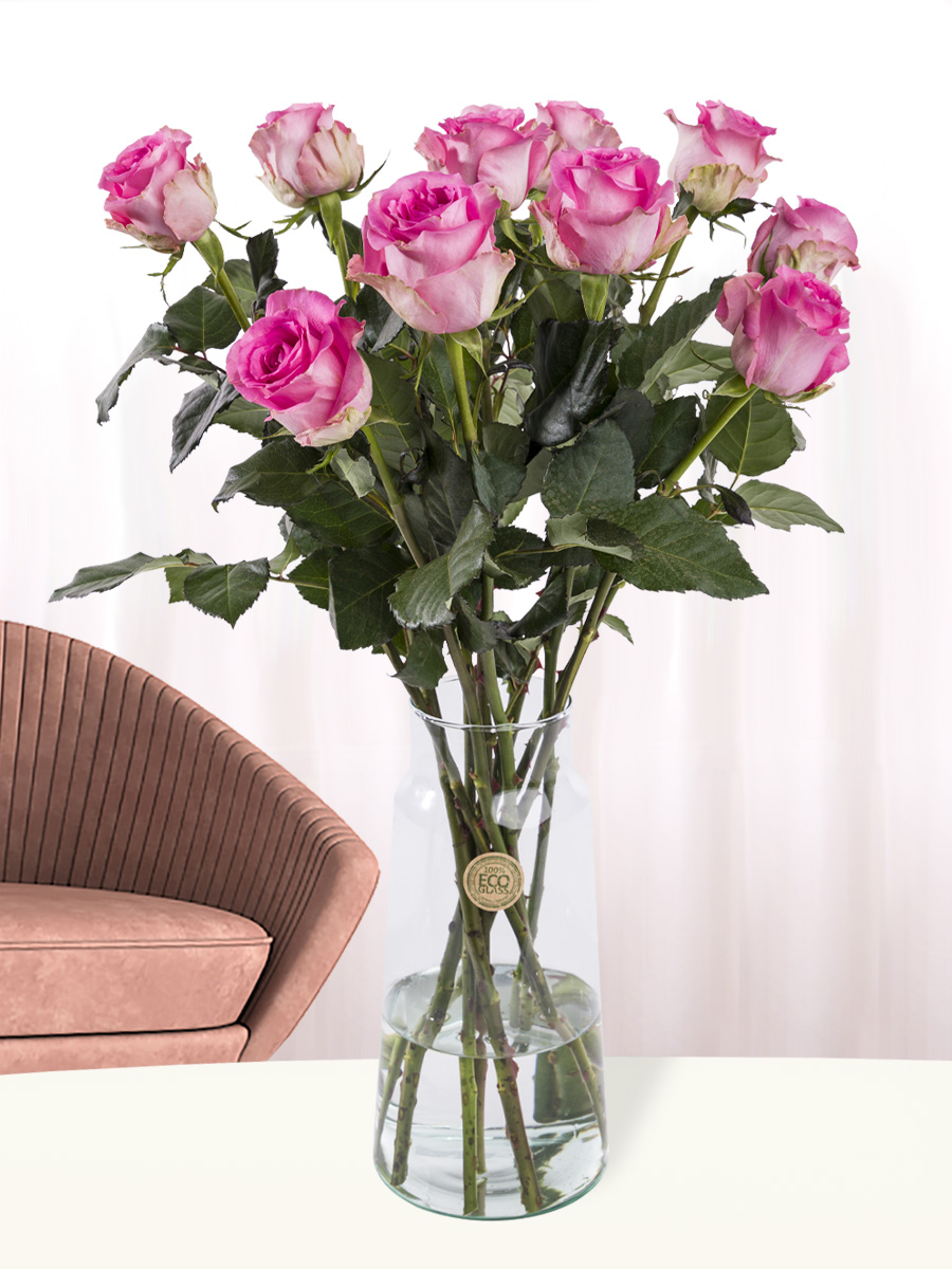 10 roze rozen - Revival