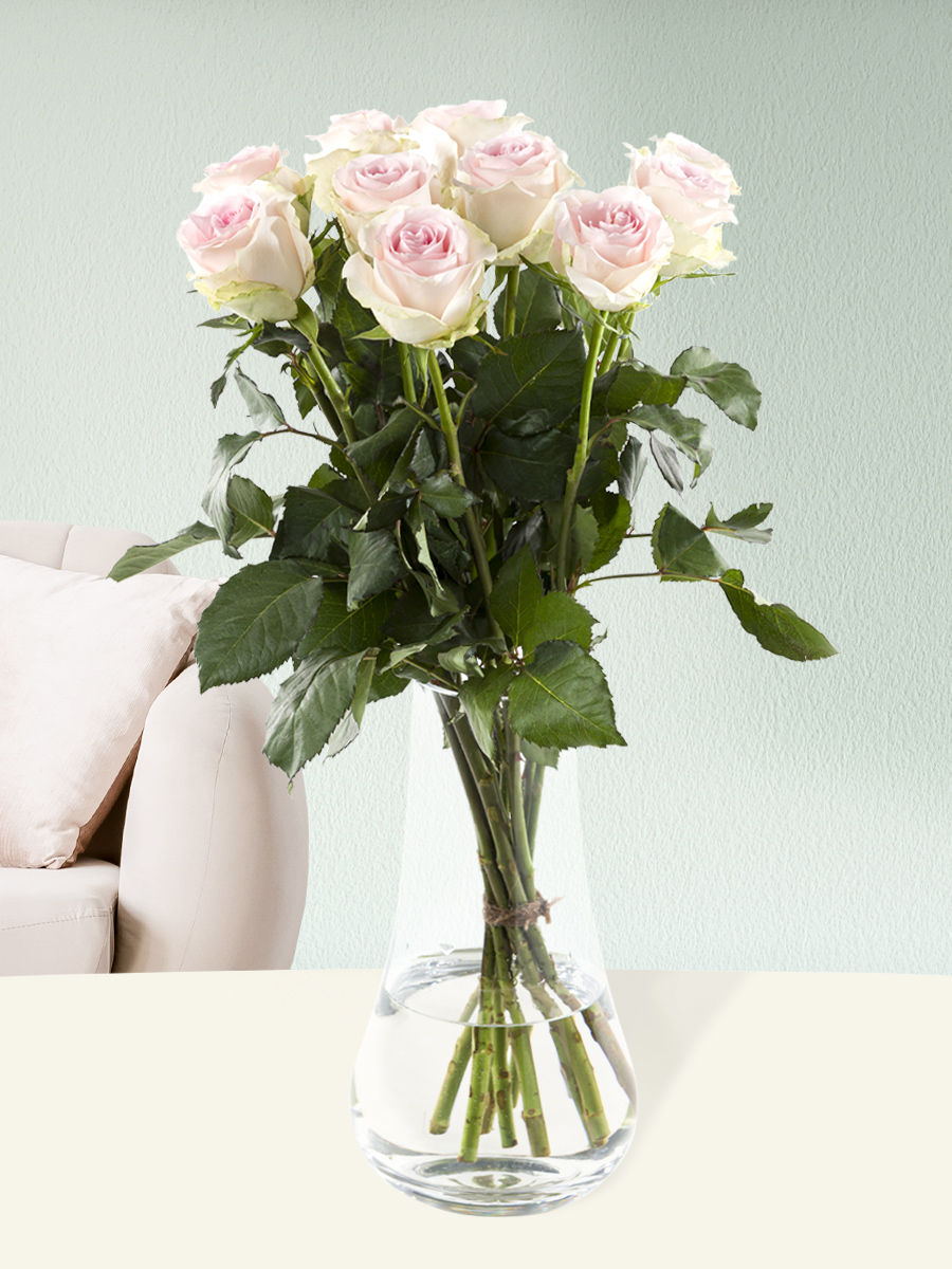 10 zachtroze rozen - Sweet Revival