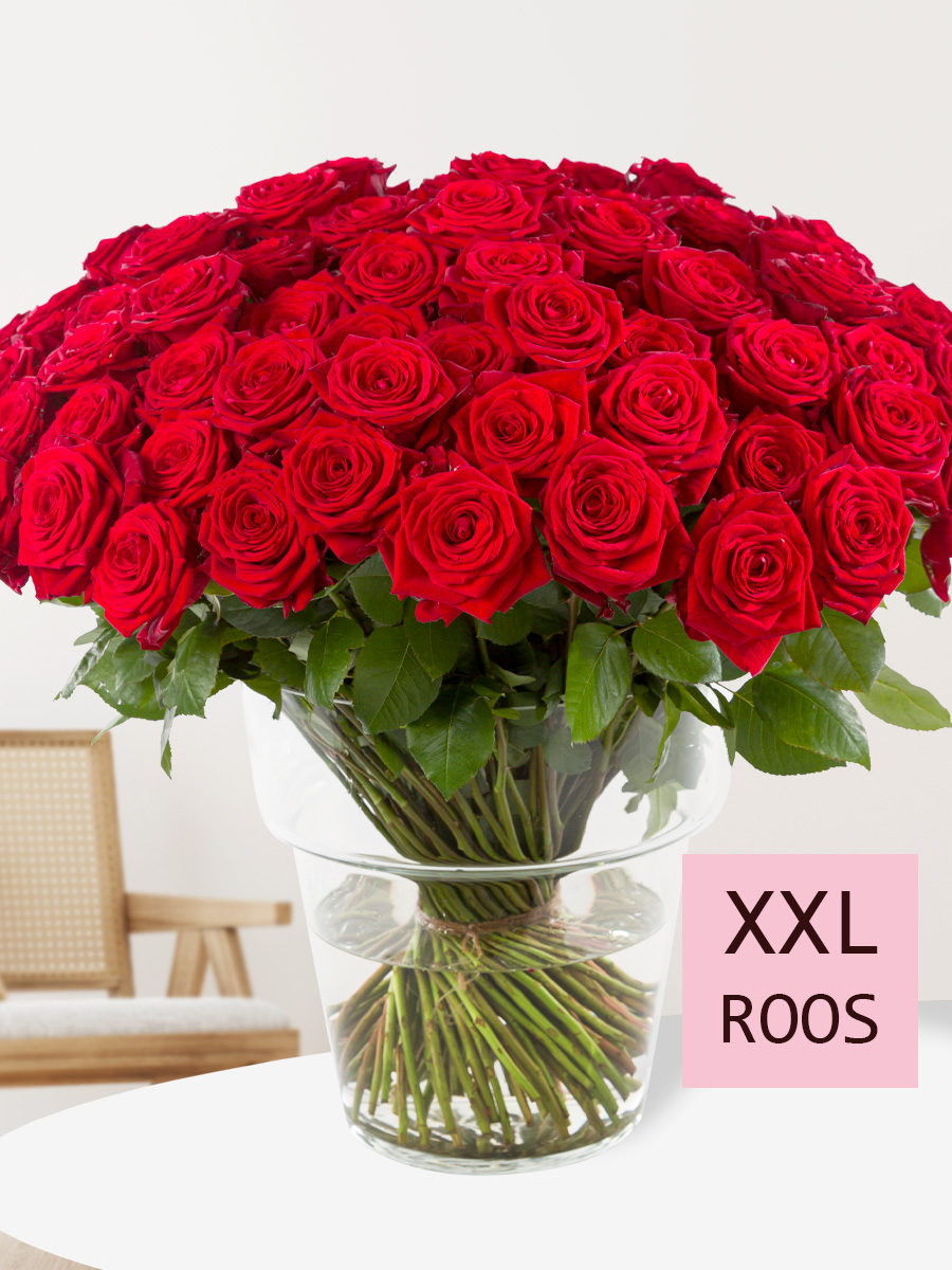 100 rode rozen - Red Naomi