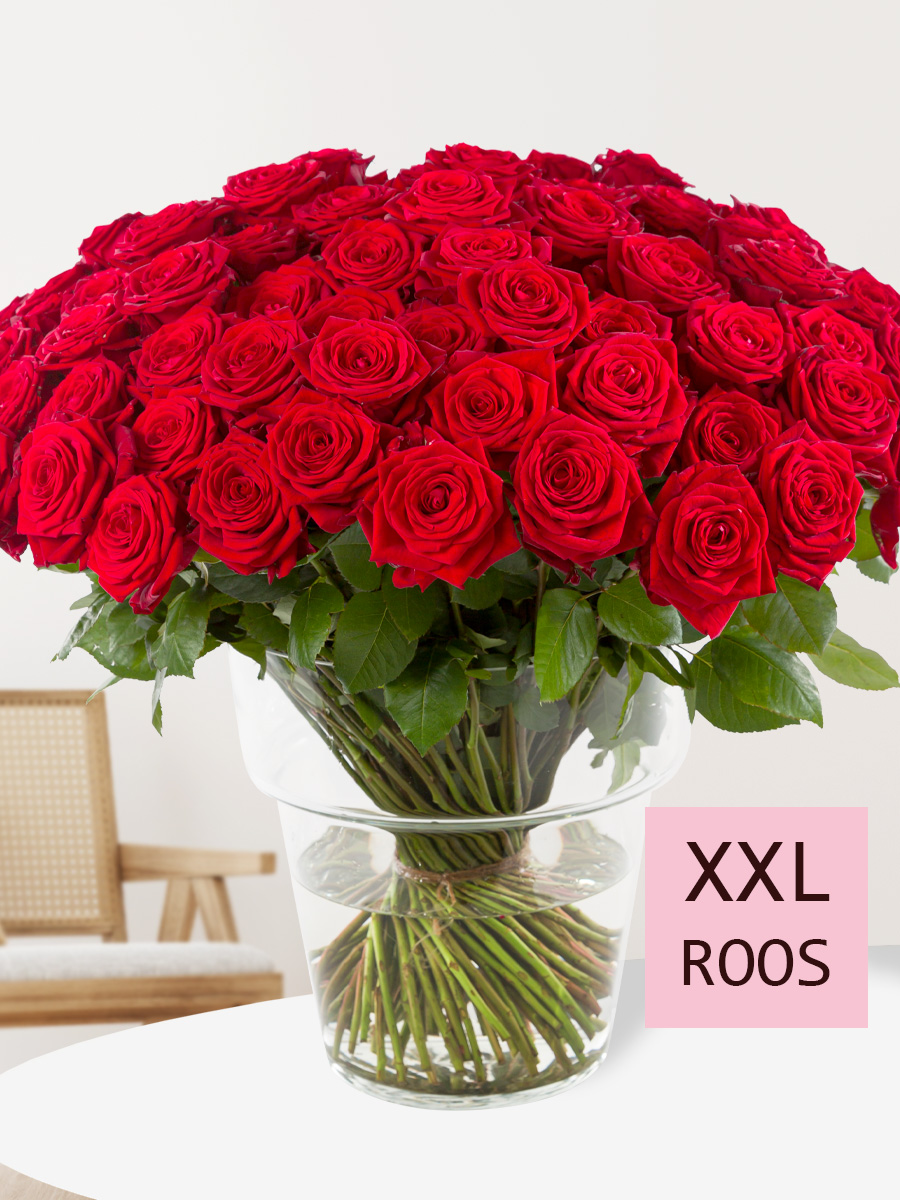 100 rode rozen - Red Naomi afbeelding
