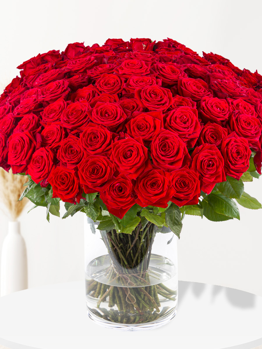 100 rode rozen - premium rozen - Red Naomi afbeelding
