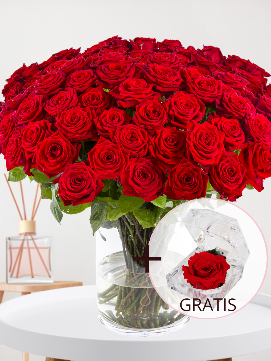 Surprose 100 rode rozen - XL rozen - Red Naomi + Eeuwige roos voor Valentijnsdag