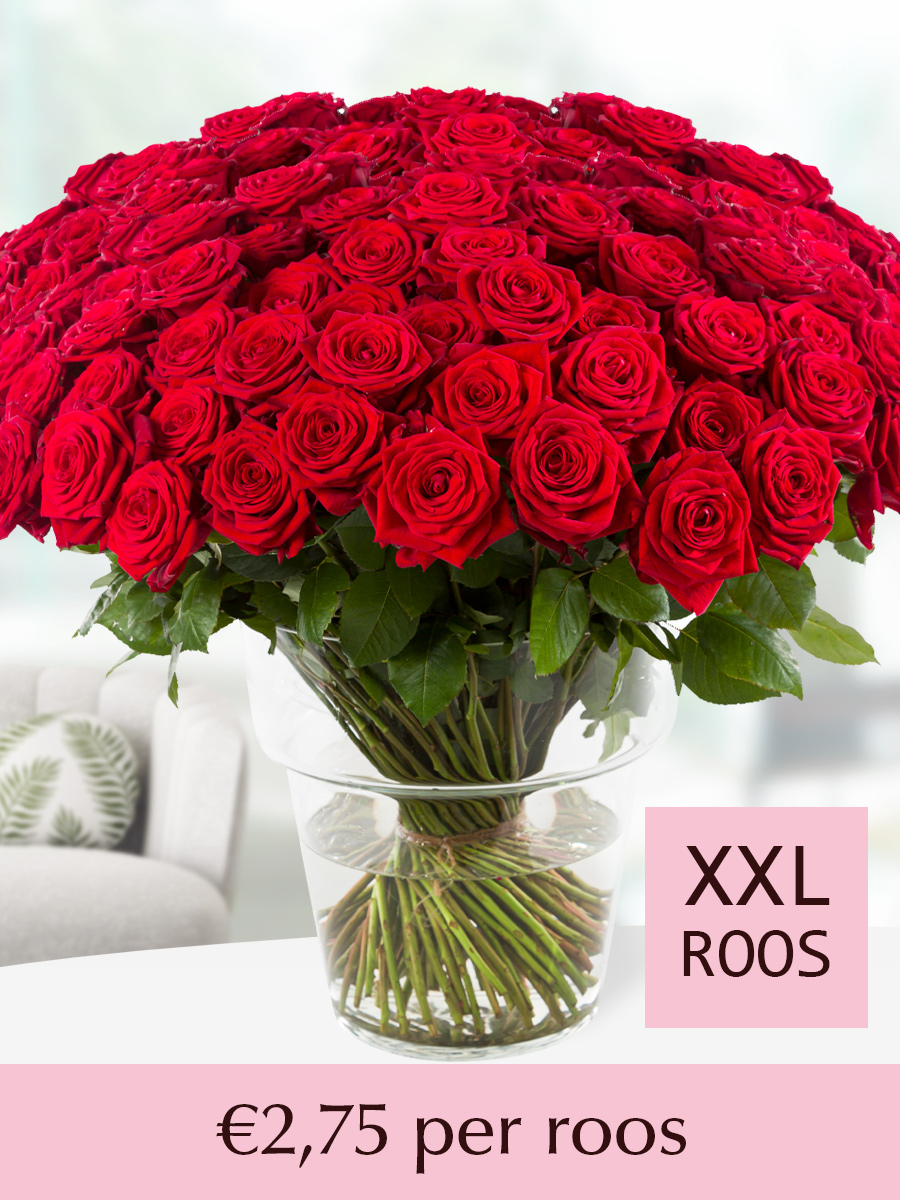 100 tot en met 499 rode rozen - Red Naomi