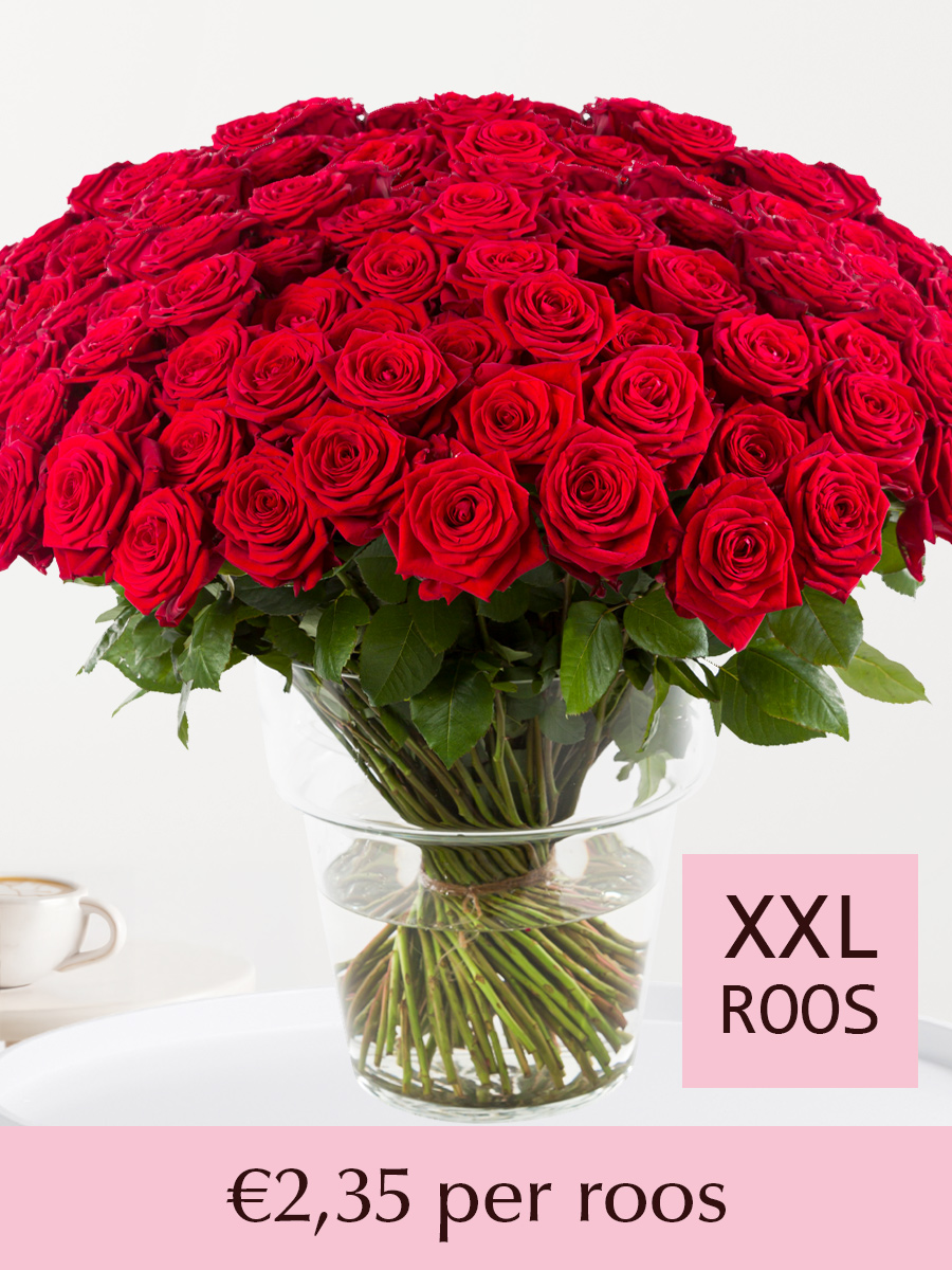 100 tot en met 499 rode rozen - XXL rozen - Red Naomi afbeelding 1