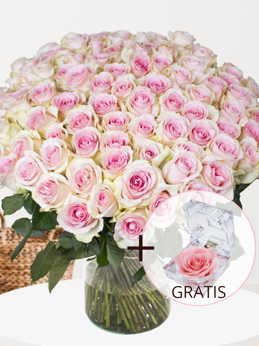 100 zachtroze rozen - XL rozen - Sweet Revival + eeuwige roos afbeelding 1