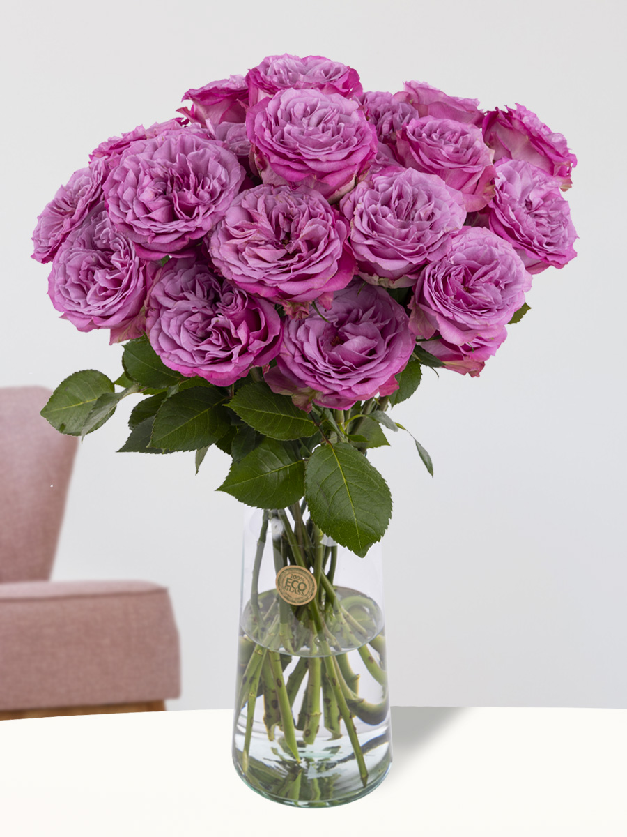 20 paarse rozen uit Ecuador