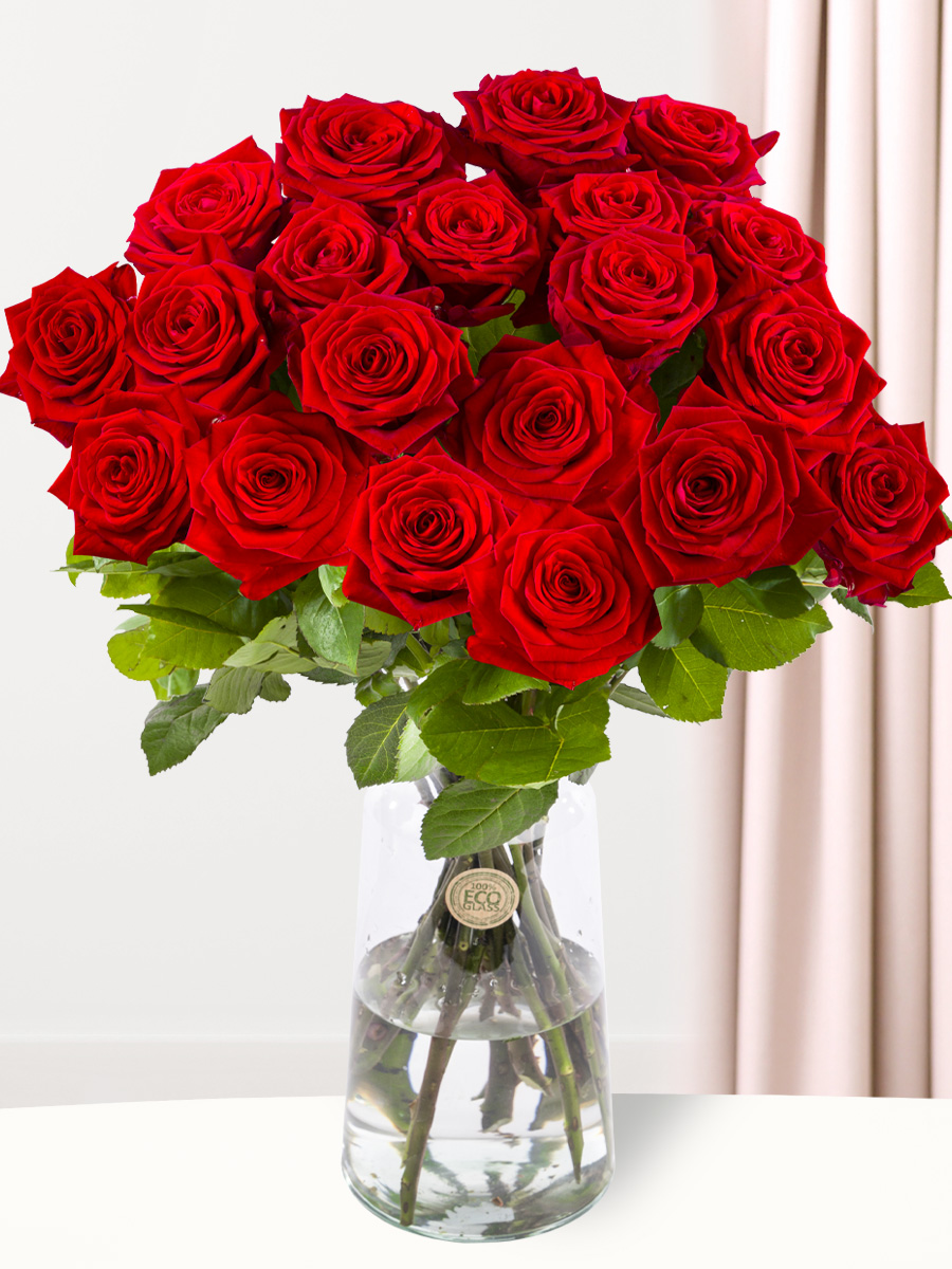 20 rode rozen - XL rozen - Red Naomi afbeelding
