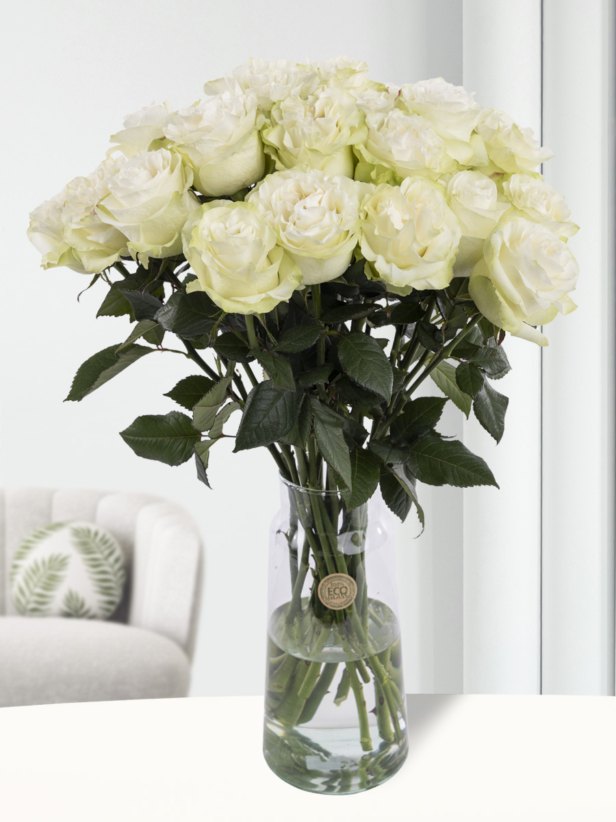 20 witte rozen uit Ecuador