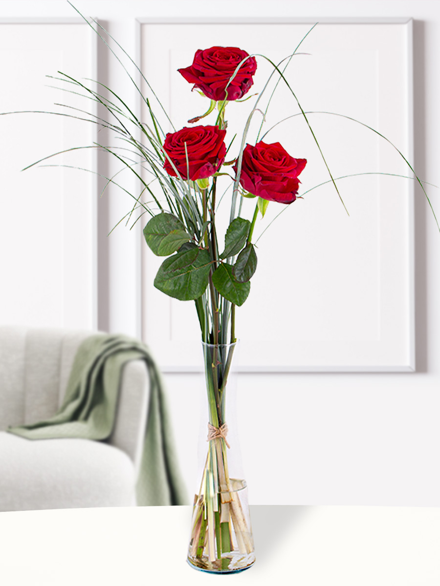 Drie rode rozen, inclusief vaasje