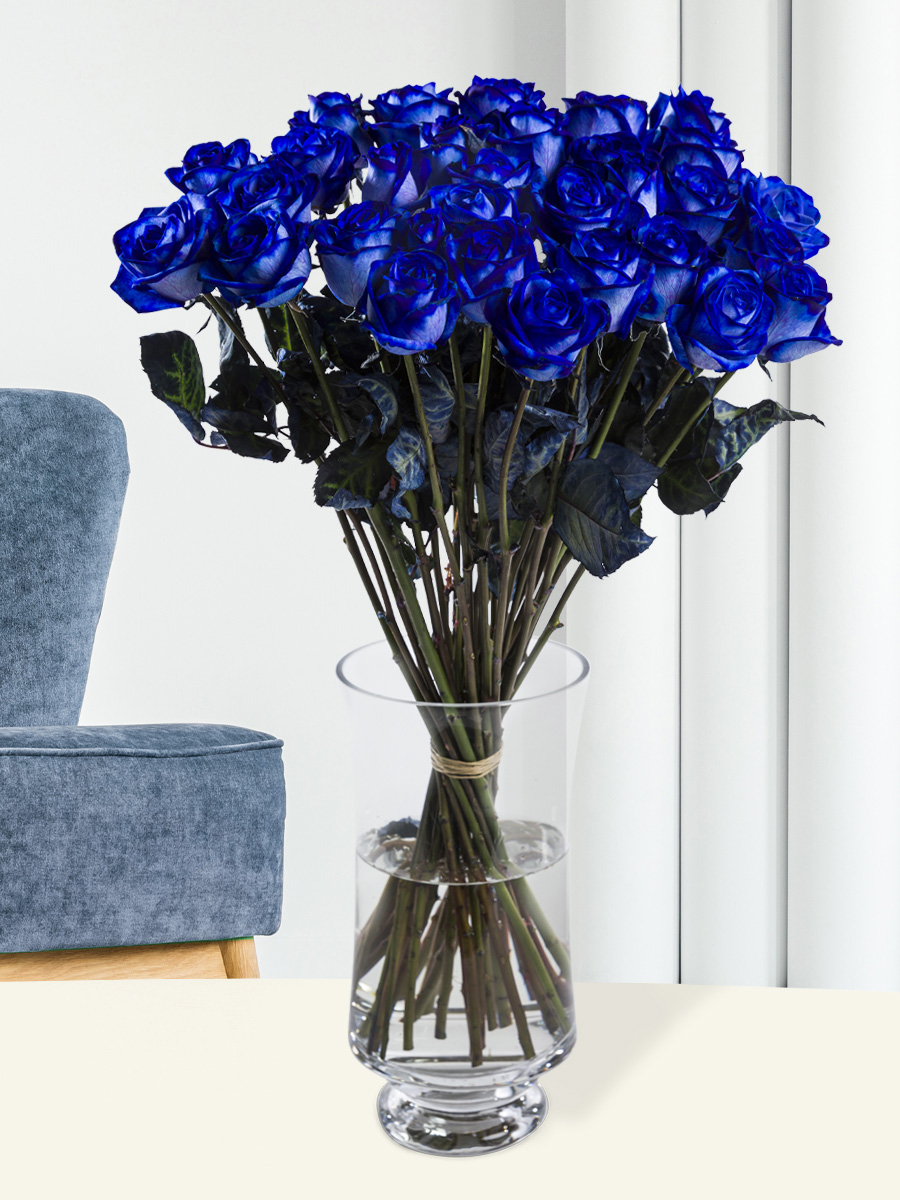 30 blauwe rozen