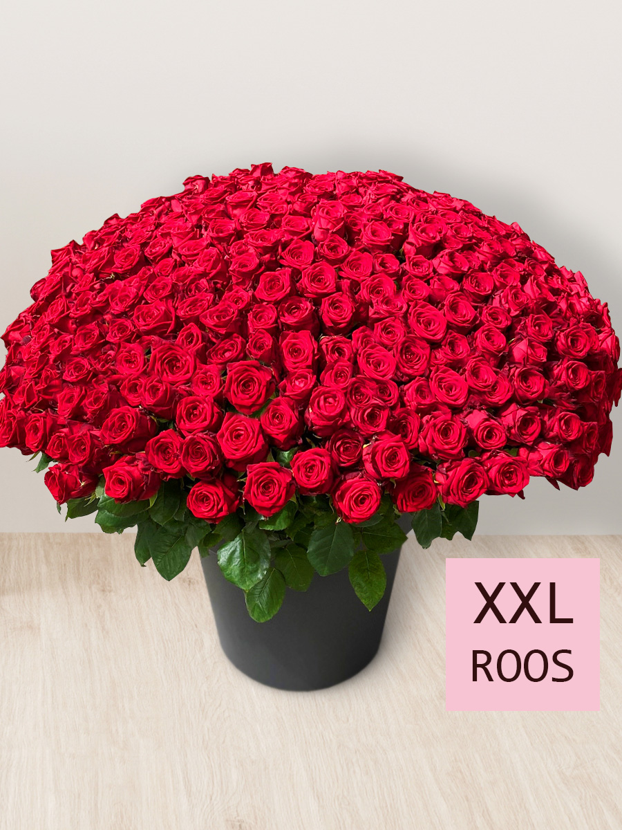 Boeket van 365 rode rozen - Red Naomi afbeelding