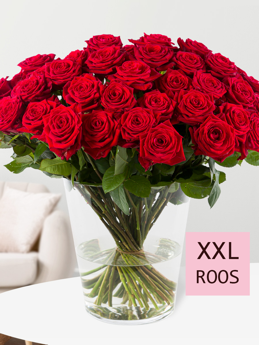 50 rode rozen - Red Naomi afbeelding