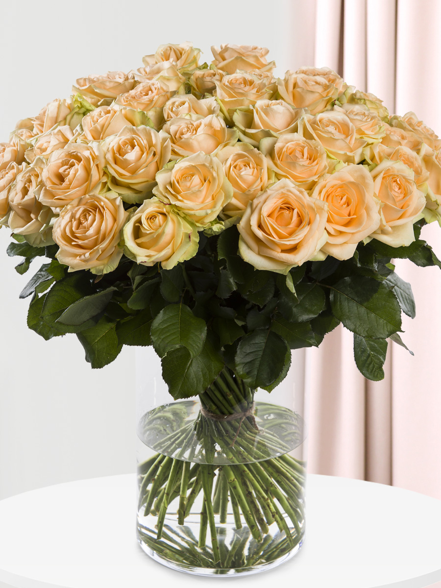 50 zalmkleurige rozen - Avalanche Peach afbeelding