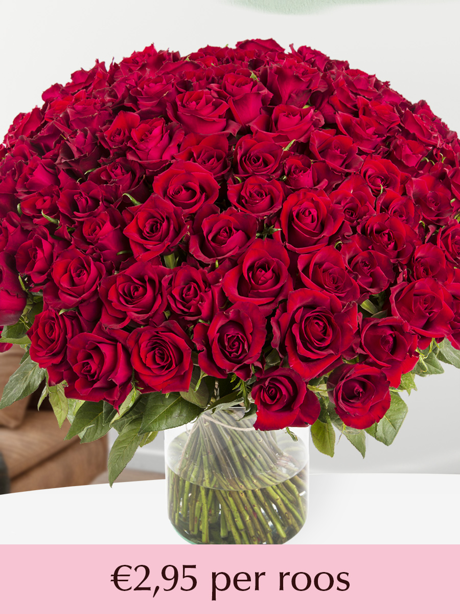 500 tot en met 1001 rode rozen - XL rozen - EverRed afbeelding 1