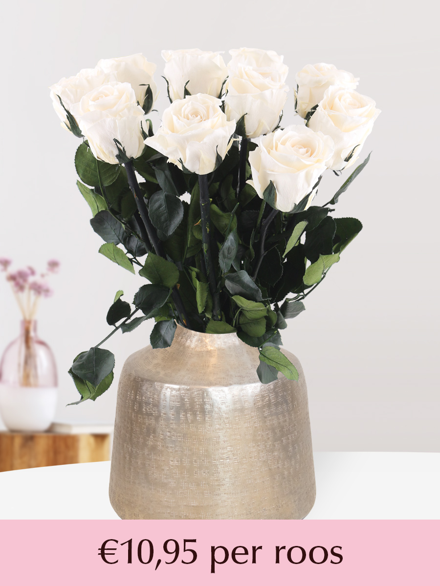Crèmekleurige long life rozen - Kies je aantal van 5 t/m 20 afbeelding
