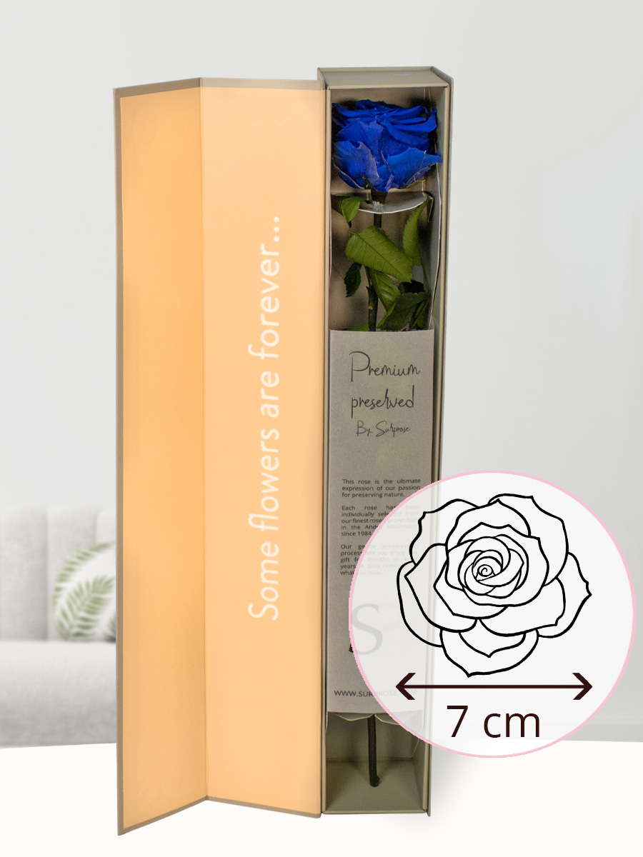 Ben je op zoek naar herenparfums met een lange houdbaarheid die de hele