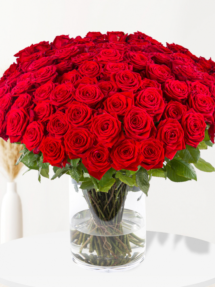 Surprose -  100 rode rozen - premium - Red Naomi