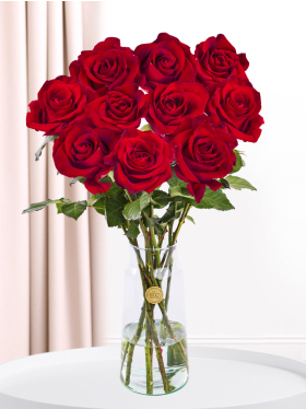 10 rode rozen - EverRed