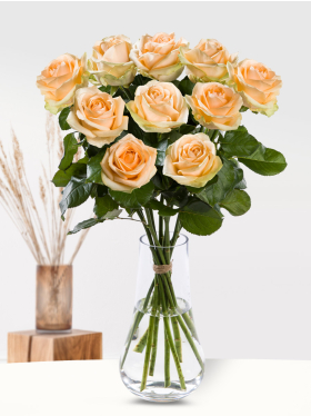 10 zalmkleurige rozen
