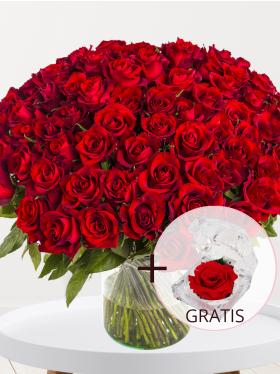 100 rode rozen - EverRed