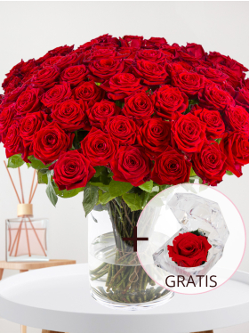 100 rode rozen - Red Naomi