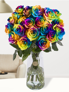 20 regenboog rozen