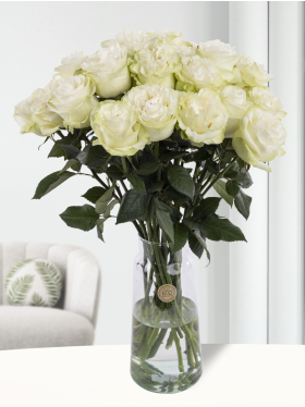 20 witte rozen uit Ecuador