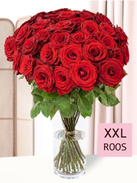 40 rode rozen - Red Bentley