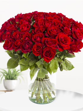 50 rode rozen