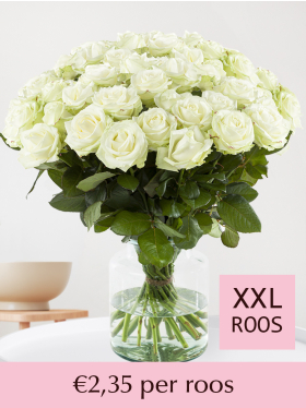 Kies je aantal witte rozen - 100 tot en met 499