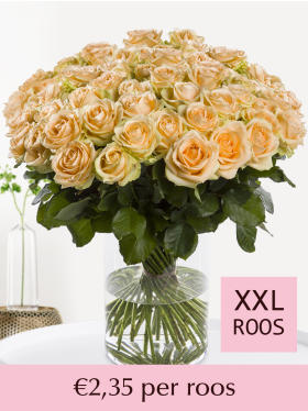 Kies je aantal zalmkleurige rozen - 100 t/m 499