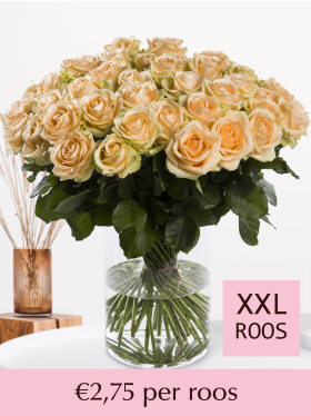 10 t/m 99 zalmkleurige rozen