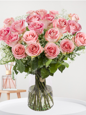 Roze rozen met gipskruid - Hermosa
