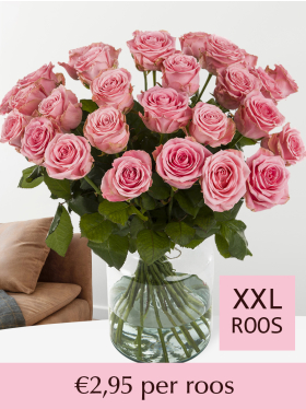 Kies je aantal roze rozen - Sophia Loren