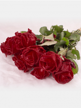 10 bordeaux rode waxrozen