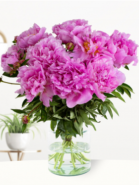 10 roze pioenrozen