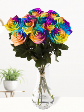 10 regenboog rozen