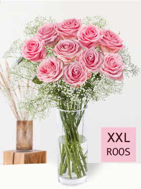 10 roze rozen met gipskruid
