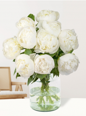 10 witte pioenrozen