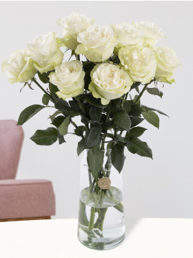 10 witte rozen uit Ecuador