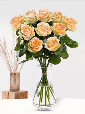 10 zalmkleurige rozen