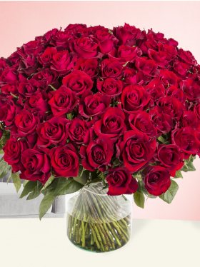100 red roses