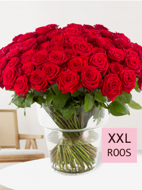 100 rode rozen - Red Naomi