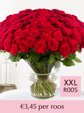 100 t/m 499 rode rozen - Red Naomi