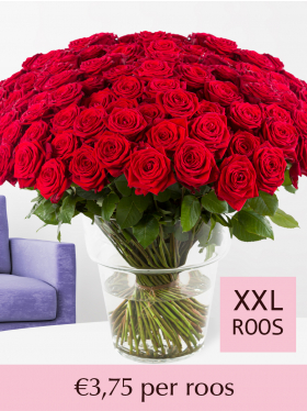 100 t/m 499 rode rozen